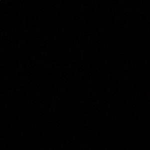 Meet your Posher, Liz